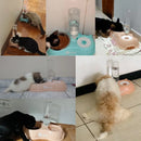 Comedouro E Bebedouro Automático Para Cães E Gatos Filhotes Cor Azul