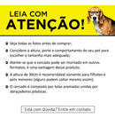 Cercadinho Para Cachorro Pequeno Porte Cercado Pet Cor Preto