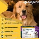Simparic Comprimido Contra Pulgas Carrapatos e Sarnas 10mg 2,5 a 5kg com 1