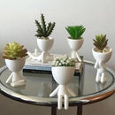 Kit 5 Vasinhos Decorativo Robert Plant Bob Para Sucul Branco