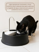 Fonte Bebedouro Gatos Cães 1,5l Filtro Joy Elétrico Cor Preta