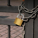 Cadeado De Latão Pado Lt 50mm 2 Chaves Não Enferruja Cor Dourado