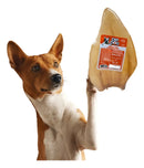 Orelha Bovina De Petisco Natural Desidratada Cães Kit 6 Cor Bege