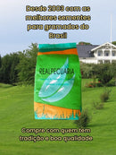 1 Kg De Sementes De Grama Batatais -  ( Acompanha Manual )