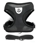 Coleira Peitoral Para Gatos Com Guia Cor Preto Tamanho da coleira P Bacon Born