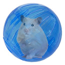 Bola Para Hamster Roedores Ball Savana Pet Cor Transparente