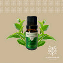 Óleo Essencial Melaleuca Seja Essencial 10ml Para Difusor E Massagem