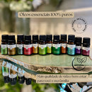 Óleo Essencial Melaleuca Seja Essencial 10ml Para Difusor E Massagem