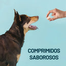 Simparic Comprimido Contra Pulgas Carrapatos e Sarnas 10mg 2,5 a 5kg com 1