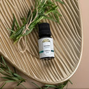 Coala Essência Aromatizante Líquido - Alecrim - Unidade - 1 - 1 - 10 g - 10 mL