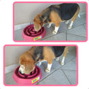 Comedor Cachorro Grande Interativo Lento Pote Ração Água Tigela Cor Rosa