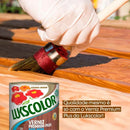 Verniz Madeira Base Água Incolor Brilhante 3,6l Lukscolor