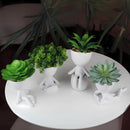 Kit 5 Vasinhos Decorativo Robert Plant Bob Para Sucul Branco