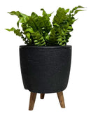 Vaso para plantas de chão com tripé 30 cm Preto