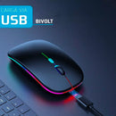 Mouse Sem Fio Recarregável Wireless Optico Led Rgb Ergonômico Sem Fio Para Pc Desktop Notebook Tablet Smartphone Davely Preto