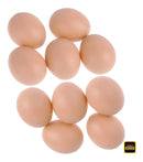 Kit 12 Ovos Falsos Brincadeira Plástico Para Indez Galinha Cor Colorido