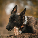 Pacote 12 Unidades Traqueia Bovina Natural Petisco Cachorro Traqueia 3 Polegadas