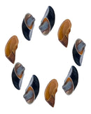 Casco Bovino Puretoy - Pacote Com 3 Unidades Cor Natural