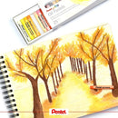 Giz Pastel Oleoso Óleo Oil Pentel 25 Cores Com