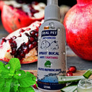 Spray Bucal Gatos E Cães Elimina Mau Hálito E Anti Tártaro Sabor Menta