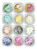 Kit 12 Madrepérola Encapsulamento Unhas De Gel, Arte Sedução Cor Colorido Folhas Decoração Unha Nail Art Manicure