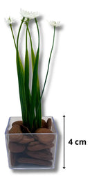 Kit Mini Vasinhos Decorativos Com Plantinhas Suculenta