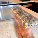 Embalagem Bandeja Para 30 Trinta Ovos De Codorna 100 Unid Cor Transparente