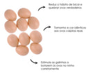 Kit 24 Ovos Falsos Plástico Para Indez Galinha, Cor Ovo Caipira Marrom, Estimula Postura Correta, Evita Ovos Quebrados