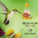 Néctar Beija Flor Refil 400g Saíra Sanhaço Reino Das Aves