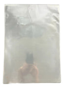 Saco Plástico Transparente PP Celofane 25x35 50 unidades