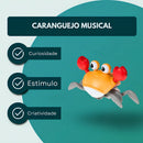 Brinquedo Educativo Caranguejo Fujão Musical Atacarejo Kids Tiktok