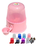 Bebedouro Pelos Longo Shih Tzu Cães Gato Raça Peq. S/ Mol Rosa