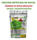 Creatina Pura Importada 600g Importada Com Laudo  Natural