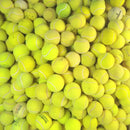 10 Bolinhas De Tênis Para Pets, Cães, Gatos, Artesanato,etc