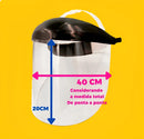 Protetor Viseira Facial Incolor Profissional Epi
