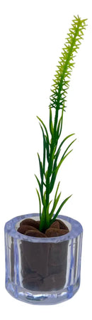 Kit Mini Vasinhos Decorativos Com Plantinhas Suculenta