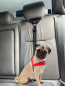 Cinto Segurança Pet Para Encosto De Cabeça Ajuste De Tamanho Cor Preto
