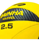 Bola de Vôlei de Quadra Rainha Vl 2.5 Voleibol Oficial