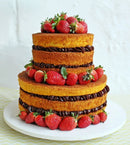 Kit 4 Forma Assadeira Bolo Redonda Alta 15-20-25-30 F47