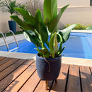 Vaso Para Plantas De Chão Com Tripé Polietileno Azul