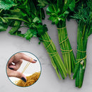 Elastico De Silicone Amarrar Verduras Temperos 32x09mm Pacote Borrachinha 500g Sem Látex Organização Escritório Colagem Tela Celular Liga Resistente Dona D.cor