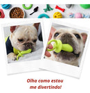 Kit 12 Pet Ninho Brinquedos Pet De Mordedor de Borracha Atóxica