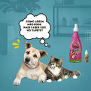 Ensine Seu Cão Ou Gato A Fazer O Xixi Ou Cocô No Lugar Certo