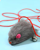 Brinquedo Elástico Interativo Divertido Para Gato De Porta Cor Lagarto Celofani Ratinho