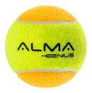 Kit Com 3 Bolas Beach Tennis Stage 2 Pro Alma Genius