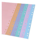 Divisória Para Fichário Argolado A4 Com 6 Tons Pastel Acp