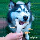 Truqys Pets Mordedor Osso Resistente Maciço Bamboo Peixe Aroma Bacon Cor Marrom