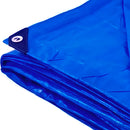 Lona Polietileno Azul 100 Micras 3x3m Rexon Apm7020004