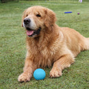 Bola Pula Pula Maciça Big Bull Pet Bolinha Pra Cachorro Cão Labrador Pastor Alemão Cor Bola 80mm Azul Bebê