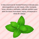 Kit Óleos Essenciais Lavanda Hortelã Pimenta Alecrim